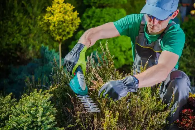 landscaping services Brentwood